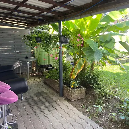 Apartmán Apisha *