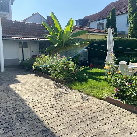 Apisha Kirchheim unter Teck